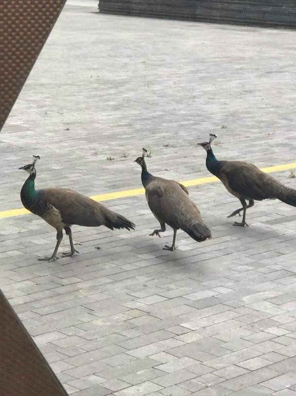 20210709001.jpg
